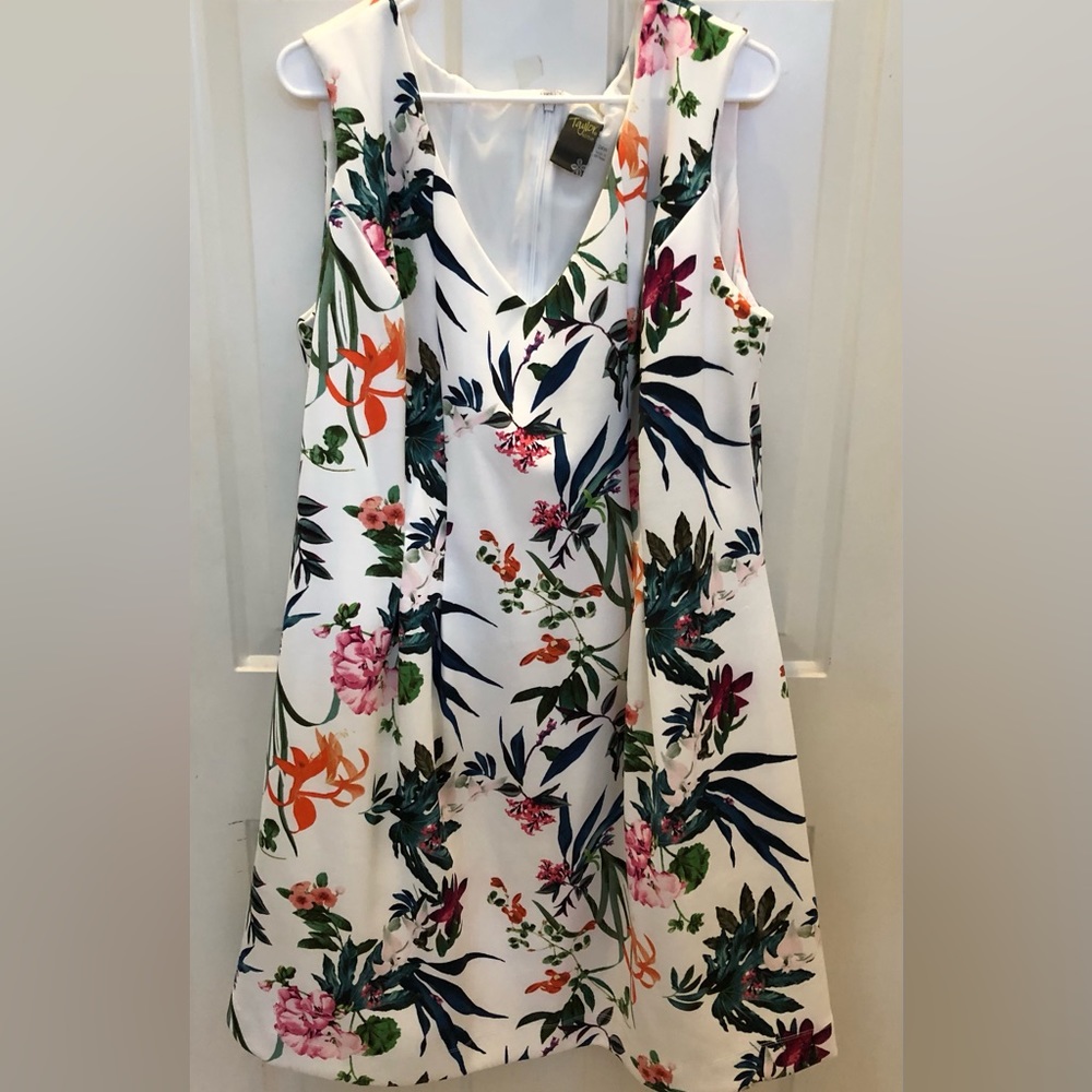 Taylor ivory green blue floral sleeveless A-line ruffle dress plus size 24W